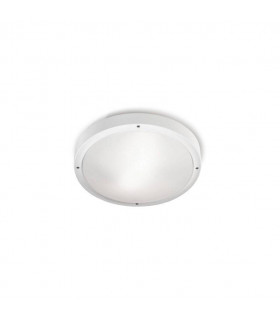 2 Light Outdoor Ceiling Light White, Opal IP65, E27