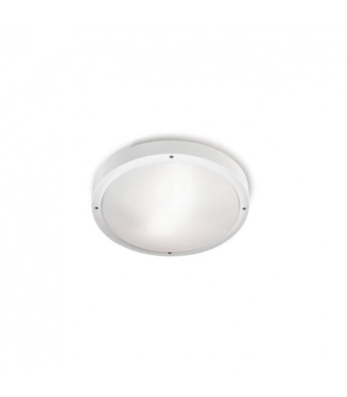 2 Light Outdoor Ceiling Light White, Opal IP65, E27