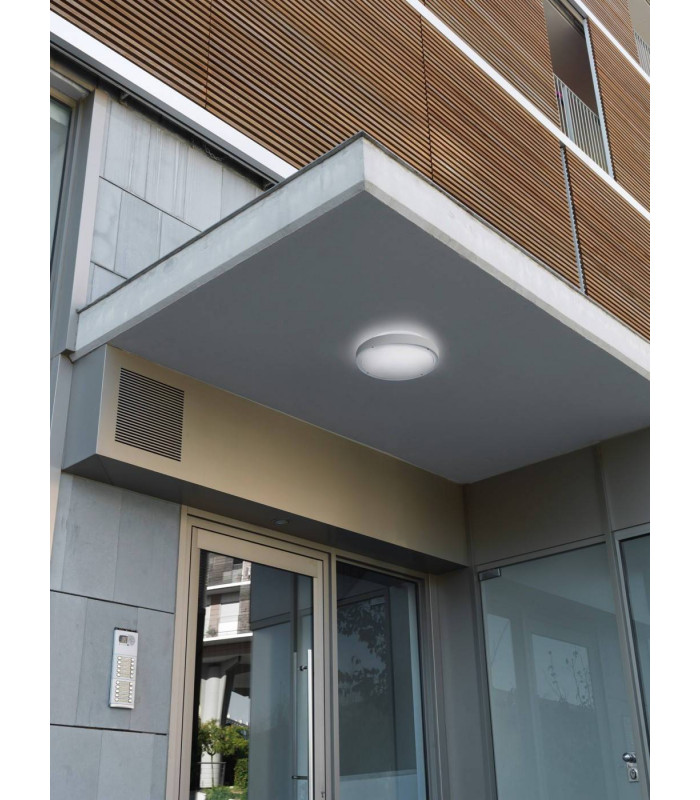 2 Light Outdoor Ceiling Light White, Opal IP65, E27