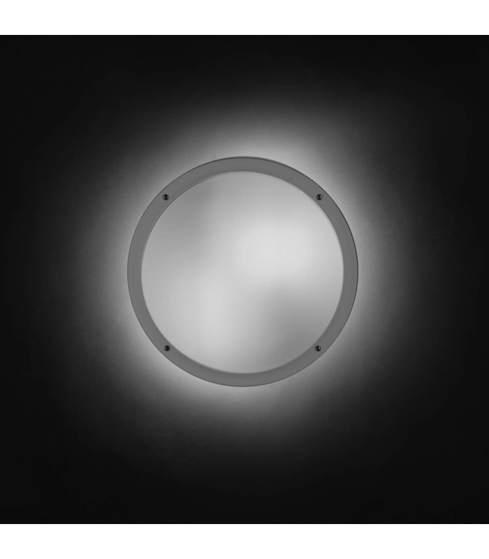 2 Light Outdoor Ceiling Light White, Opal IP65, E27