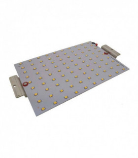 LED Outdoor Lighting