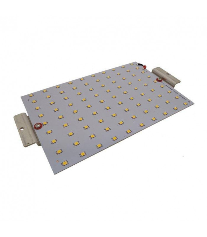LED Outdoor Lighting