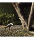 1 Light Outdoor Spike Spotlight Black IP54, G9