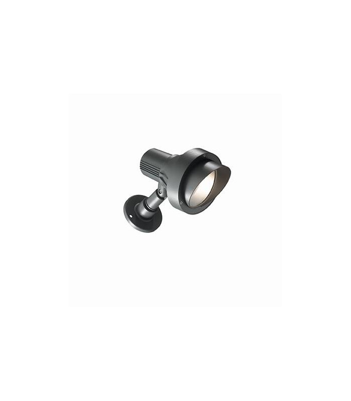 1 Light Outdoor Large Wall Light Anthracite IP65, E27