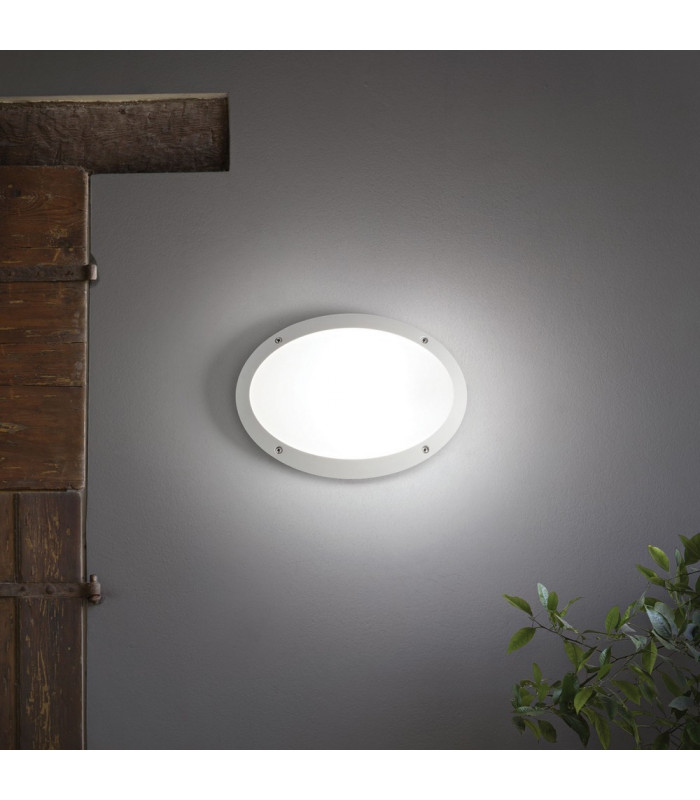 1 Light Diffuser Outdoor Flush Ceiling / Wall Light White IP66, E27