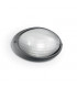 1 Light Outdoor Large Wall Light Anthracite IP54, E27