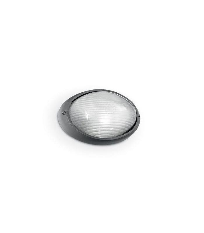 1 Light Outdoor Large Wall Light Anthracite IP54, E27