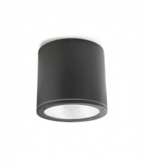 2 Light Outdoor Surface Mounted Ceiling Light Urban Grey IP65