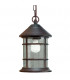 1 Light Outdoor Ceiling Light Rusty Brown