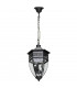 3 Light Outdoor Ceiling Pendant Light Black, Clear IP44, E14
