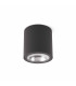 LED Outdoor Surface Mounted Ceiling Light Dark Grey IP54