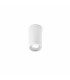 1 Light Outdoor Surface Mounted Ceiling Light White IP44, GU10