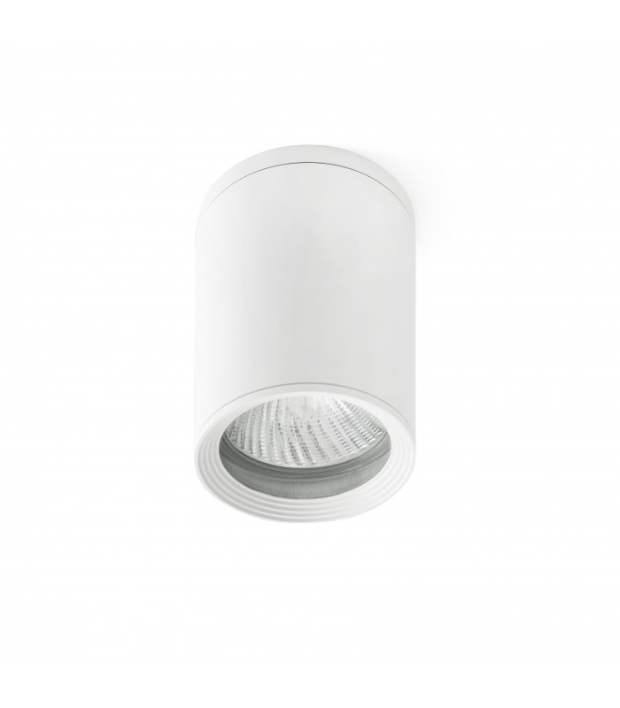 1 Light Outdoor Surface Mounted Ceiling Light White IP44