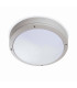 1 Light Outdoor Ceiling Light White, Grey IP54, E27