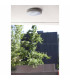 1 Light Outdoor Ceiling Light White, Grey IP54, E27