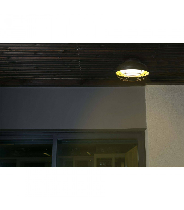 2 Light Outdoor Ceiling Light Brown IP44, E27