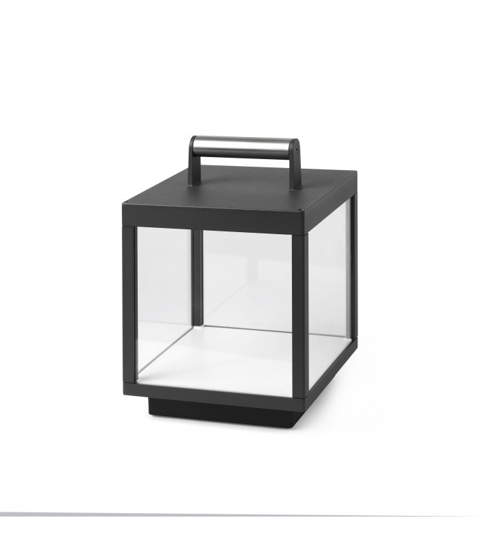LED Outdoor Lamp Dark Grey, Clear IP54