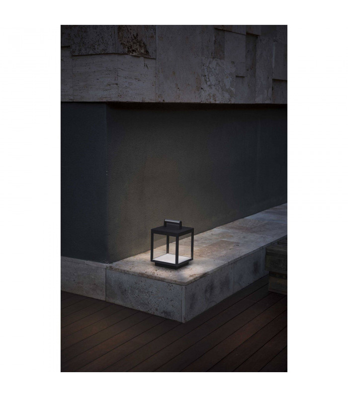 LED Outdoor Lamp Dark Grey, Clear IP54