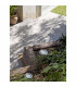 1 Light Large Outdoor Recessed Spotlight Matt Nickel IP67, E27