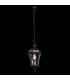 1 Light Outdoor Ceiling Pendant Lantern Black, E27