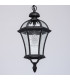1 Light Outdoor Ceiling Pendant Lantern Black, E27