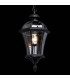 1 Light Outdoor Ceiling Pendant Lantern Black, E27