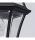 1 Light Outdoor Ceiling Pendant Lantern Black, E27