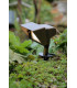 LED 4 Light Outdoor Ground Light Bronze IP44