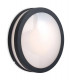 1 Light Wall/Flush Ceiling Pendant Light Graphite, Opal Diffuser IP54, E27