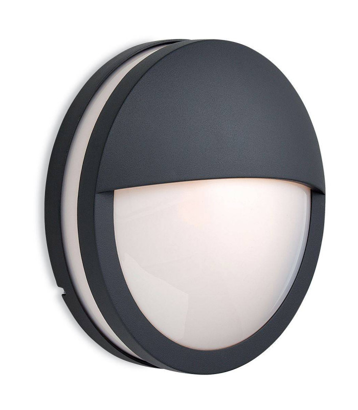 1 Light Wall/Flush Ceiling Pendant Light Graphite, Opal Diffuser IP54, E27