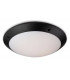 24 Light Flush Ceiling Light Black, White Diffuser IP66, E27