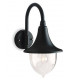 1 Light Outdoor Wall Lantern - Downlight Black IP43, E27