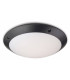 Outdoor Motion Ceiling Flush Light Black Polycarbonate, White Diffuser IP66, E27