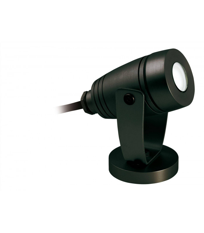 LED 1 Light Outdoor Wall Light & Spike Spot Black IP68