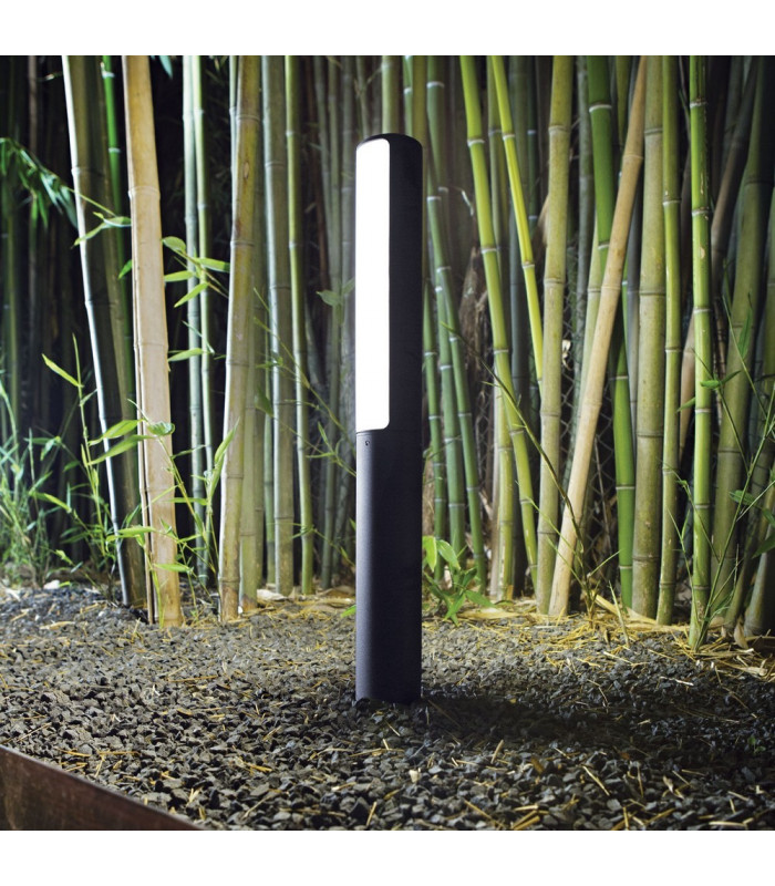 LED 1 Light Outdoor Bollard Light Anthracite IP44