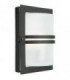 1 Light Outdoor Frosted Flush Wall Light Black IP54, E27