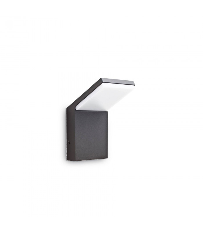 LED 1 Light Outdoor Wall Light Anthracite IP54