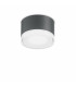 1 Light Flush Ceiling Light Anthracite