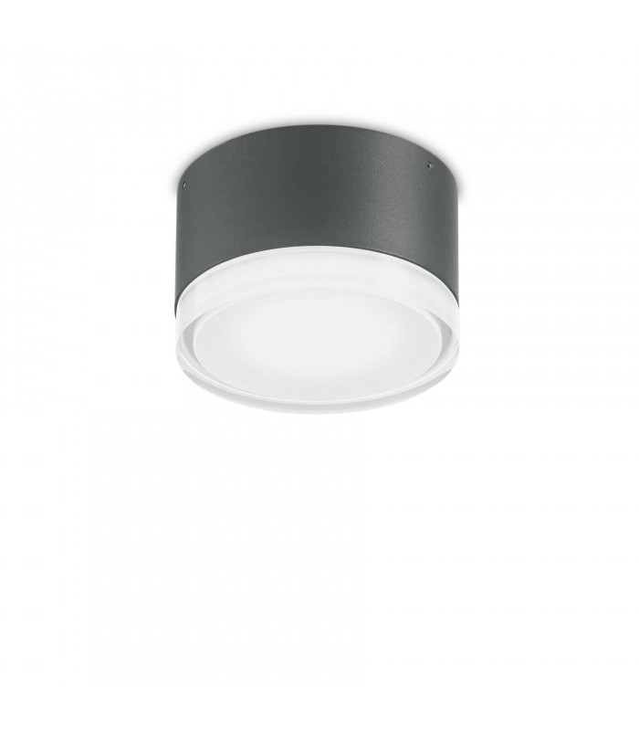 1 Light Flush Ceiling Light Anthracite