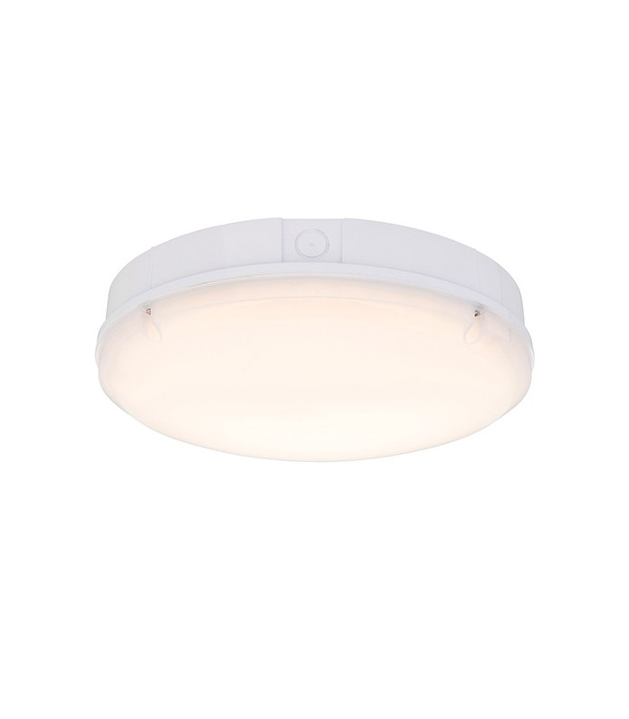 Integrated LED Outdoor & Step Dimming Flush Light Gloss White, Opal IP65