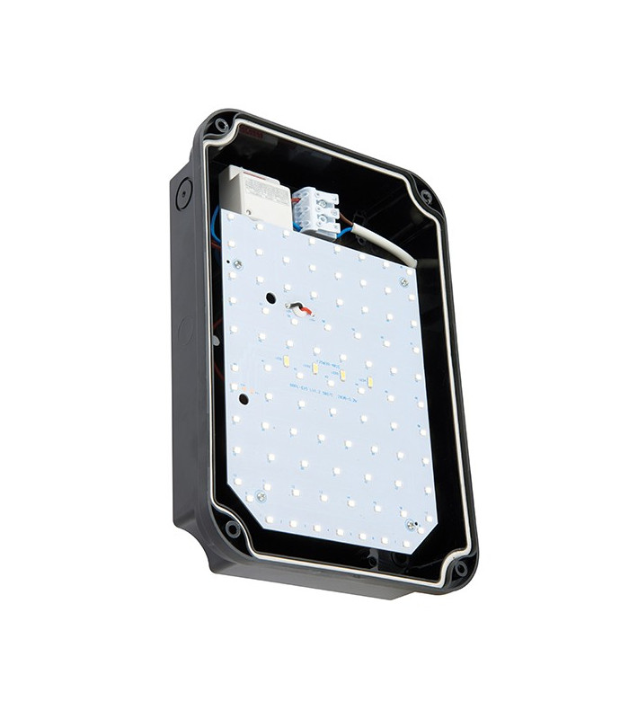 Integrated LED Outdoor Mini Microwave Wall Light Black IP65