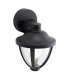 Integrated LED 1 Light Outdoor Wall Lantern Textured Black, Clear IP44