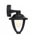 Integrated LED 1 Light Outdoor Wall Lantern Textured Black, Clear IP44