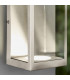 LED Outdoor Wall Light Brushed Stainless Steel & Clear Glass