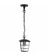 1 Light Outdoor Pendant Lantern Black IP44, E27