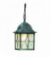 1 Light Outdoor Ceiling Pendant Light Black, Silver, E27