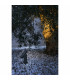 Outdoor Wall Lamp Spotlight Dark Grey 6W H140 IP65