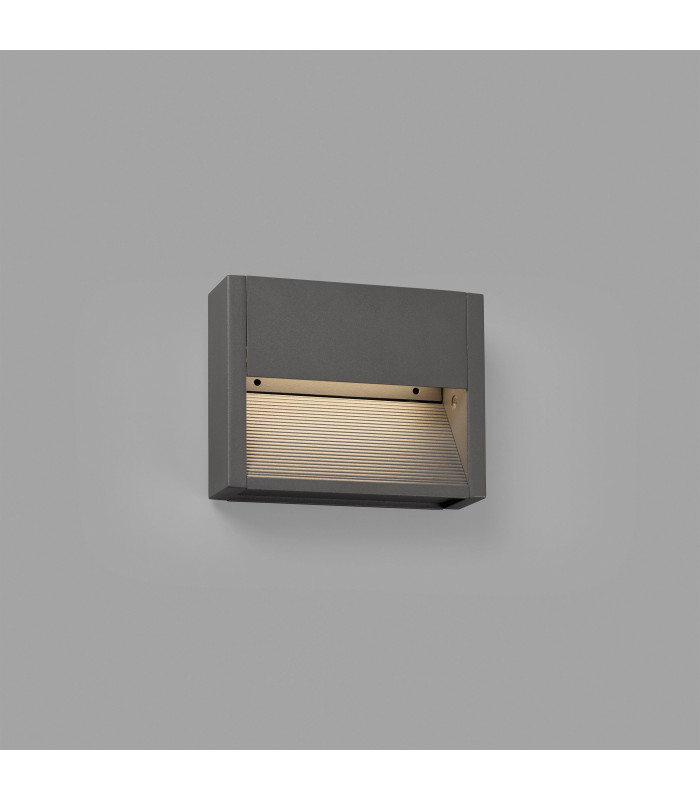 Outdoor Surface Mounted LED Wall Lamp Dark Grey 3W 3000K IP54