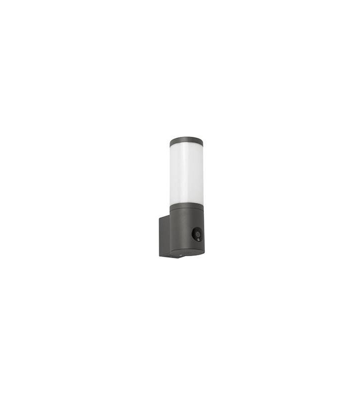 Outdoor LED Wall Light Camera Dimmable Dark Grey 9W 3000-6000K IP54