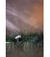 Spike Spot 12V LED Outdoor Spotlight Textured Grey IP65